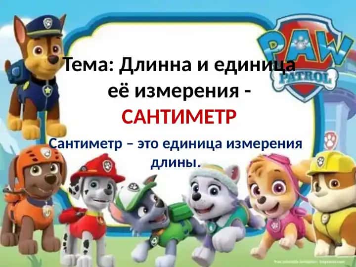 Сантиметр