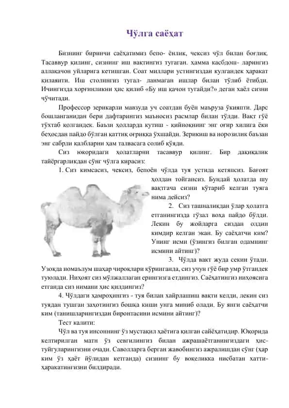 Чўлга саёҳат