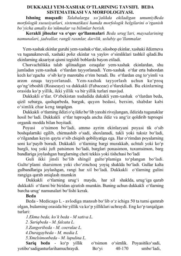 DUKKAKLI YEM-XASHAK O‘TLARINING TAVSIFI. BEDA SISTEMATIKASI VA MORFOLOGIYASI
