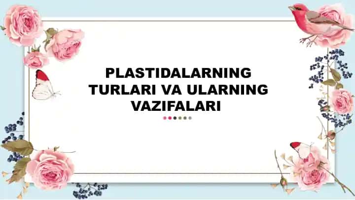 PLASTIDALARNING TURLARI VA ULARNING VAZIFALARI