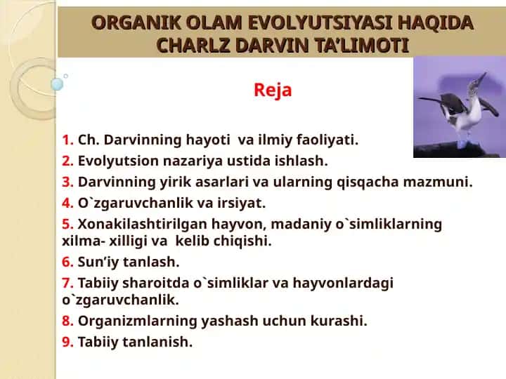 ORGANIK OLAM EVOLYUTSIYASI HAQIDA CHARLZ DARVIN TA’LIMOTI