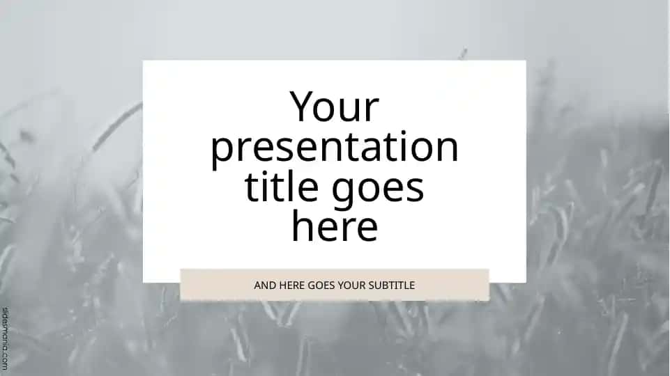 Presentation Template "Introduction to Animals"