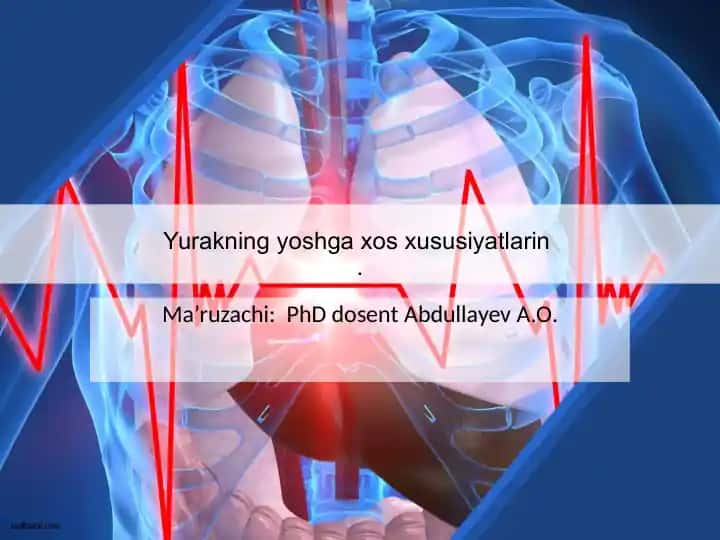 Yurakning yoshga xos xususiyatlarin