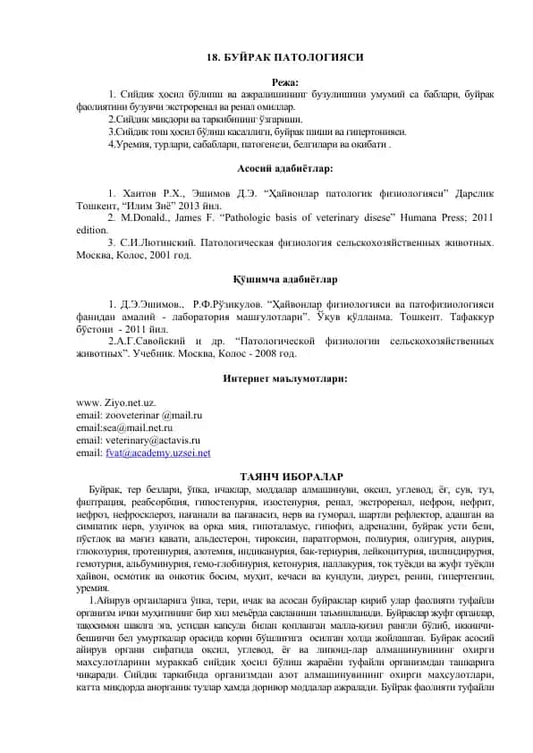 Буйрак патологияси