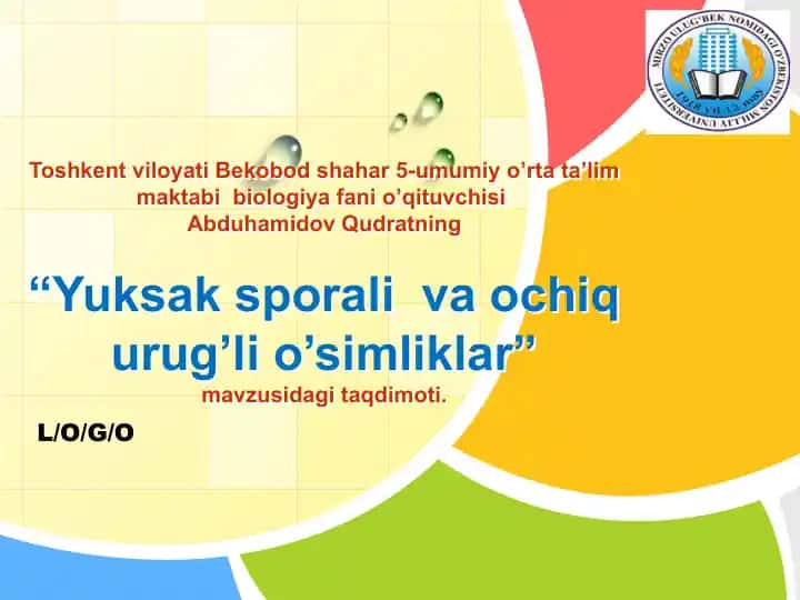 Yuksak sporali va ochiq urug’li o’simliklar