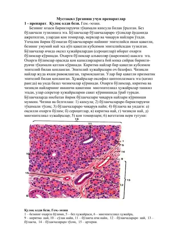 Мустақил ўрганиш учун препаратлар