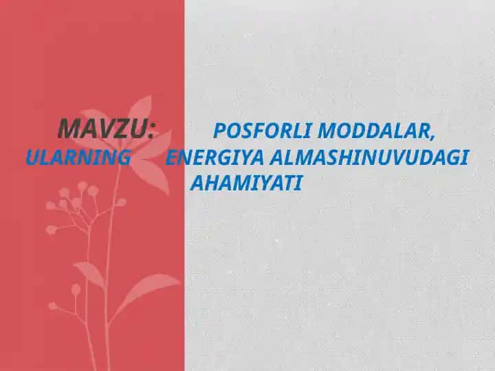 Fosforlimoddalar haqida