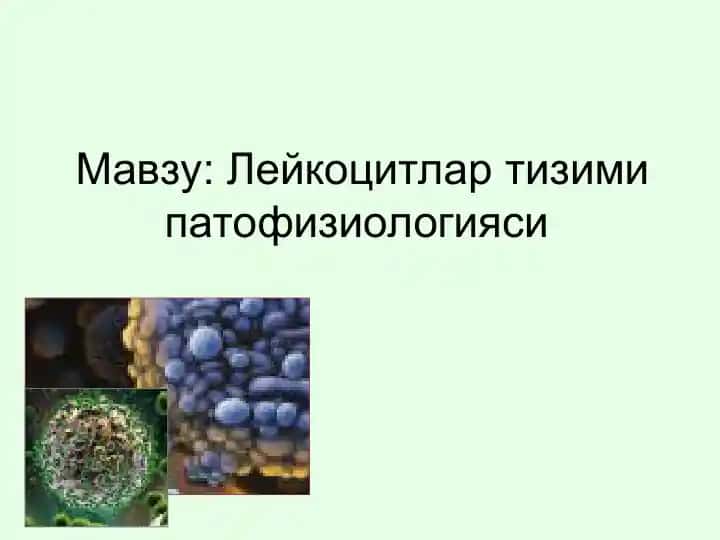Лейкоцитлар тизими патофизиологияси