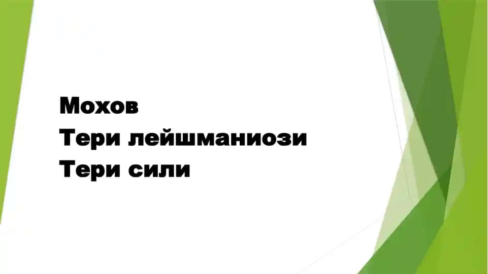 Мохов