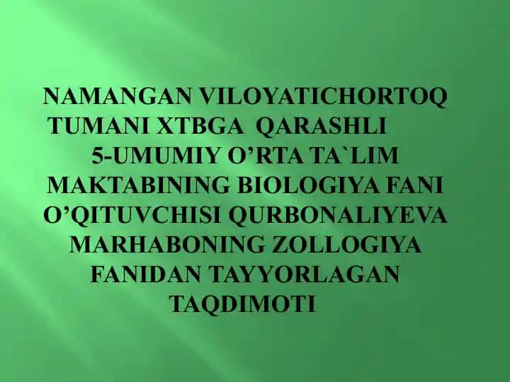 Yirtqich sutemizuvchilar turkumi taqdimoti