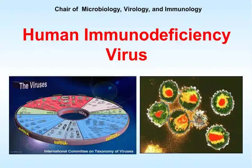 Human Immunodeficiency Virus