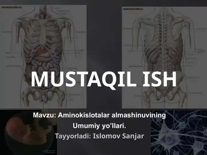 Aminokislotalar almashinuvining umumiy yo‘llari