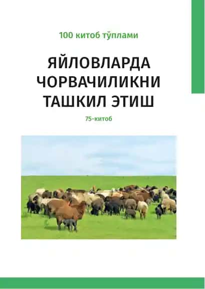 Яйловларда чорвачиликни ташкил этиш