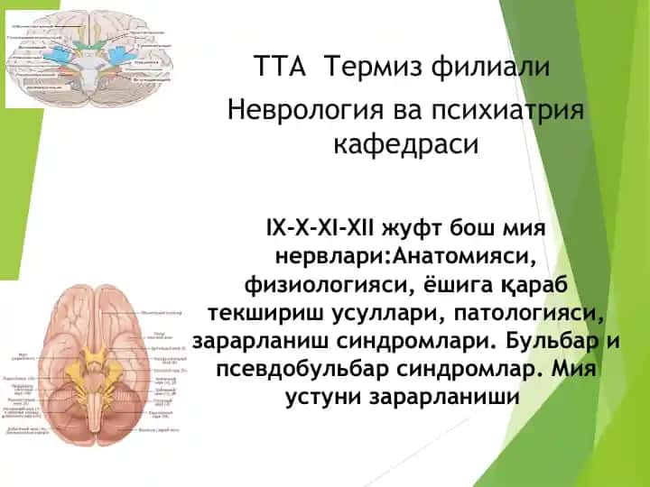 IX-X-XI-XII жуфт бош миянервлари