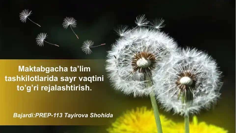 Sayr vaqtini to'g'ri rejalaştirish