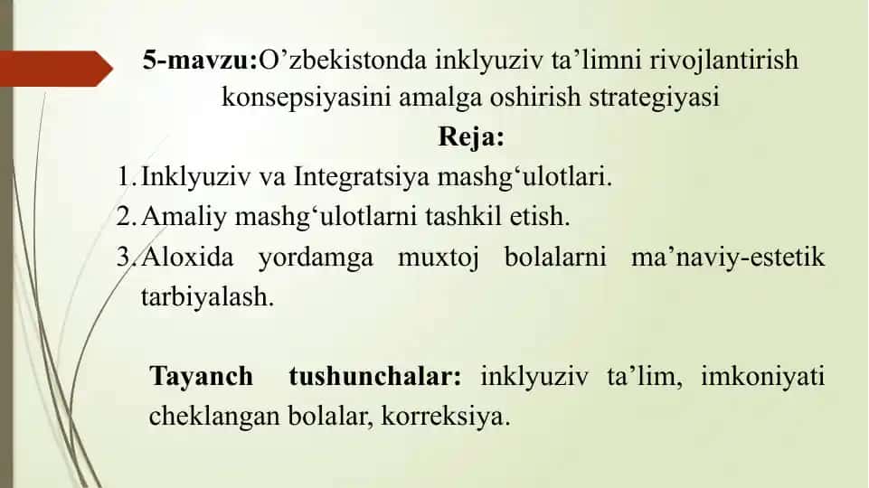O’zbekistonda inklyuziv ta’limni rivojlantirish konsepsiyasini amalga oshirish strategiyasi