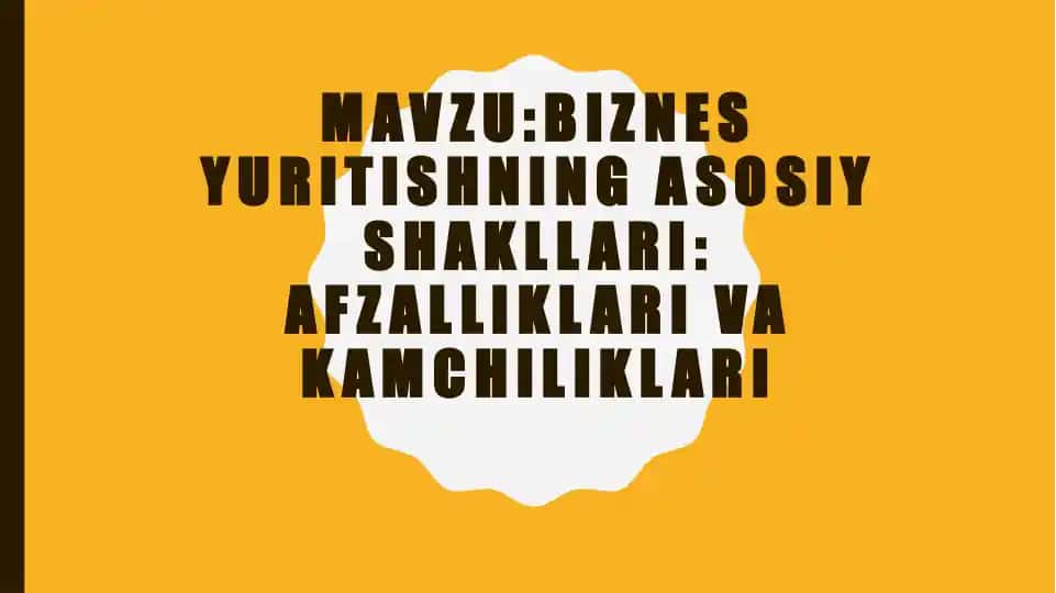 Biznes Yuritishning Asosiy Shakllari: Afzalliklari va Kamchiliklari