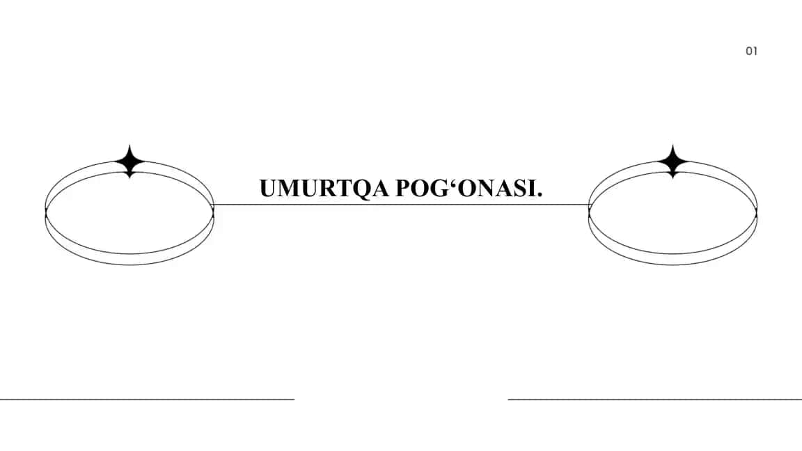 Umurtqa pog'onasi