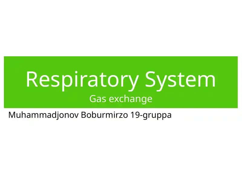 Respiratory System