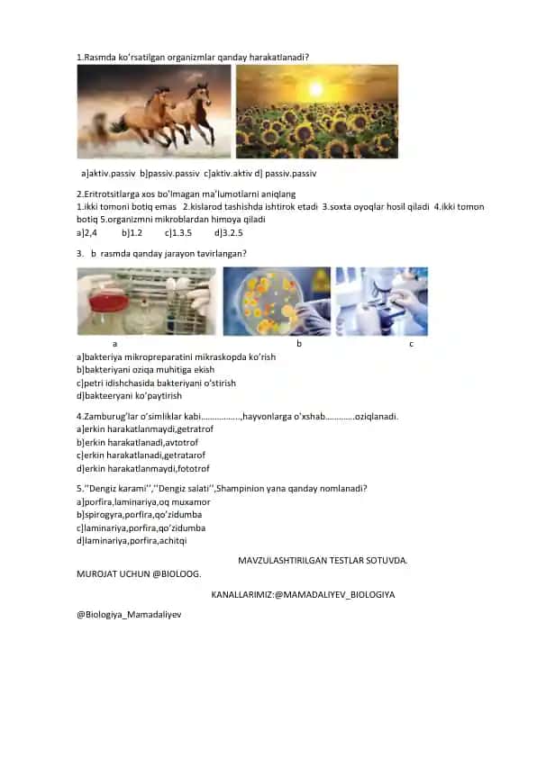 MAVZULASHTIRILGAN TESTLAR SOTUVDA
