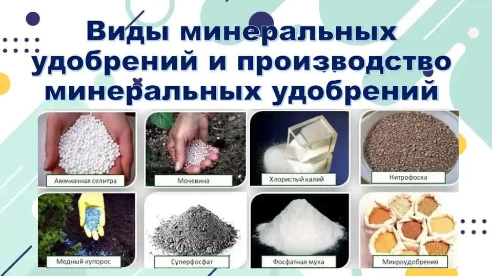 Mineral o'g'itlar va ularning ishlab chiqarilishi