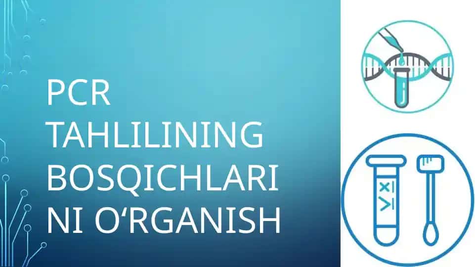 PCR tahlilining bosqichlari