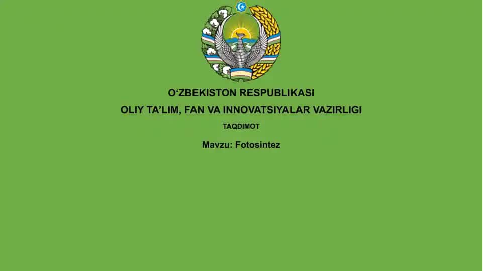 Fotosintez