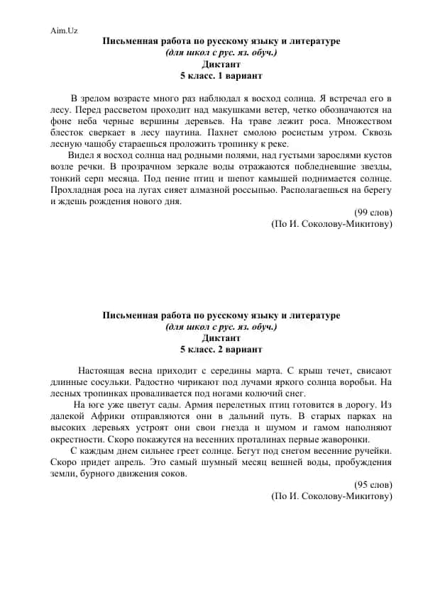 Письменная работа по русскому языку и литературе