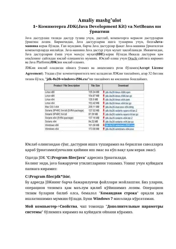 JDK (Java Development Kit) va NetBeans