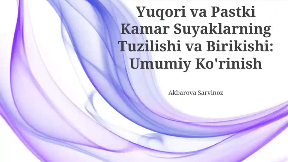 Yuqori va Pastki Kamar Suyaklarning Tuzilishi va Birikishi: Umumiy Ko'rinish