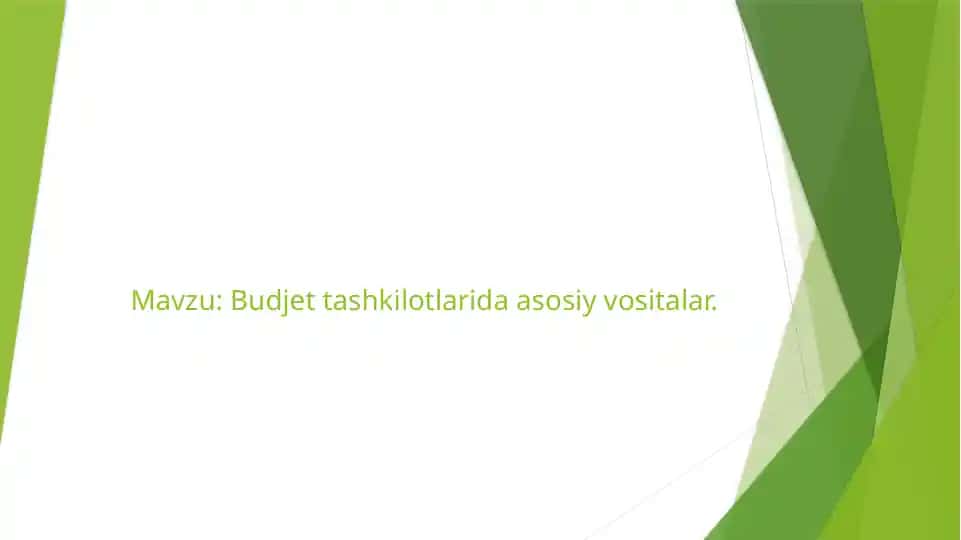 Budjet tashkilotlarida asosiy vositalar