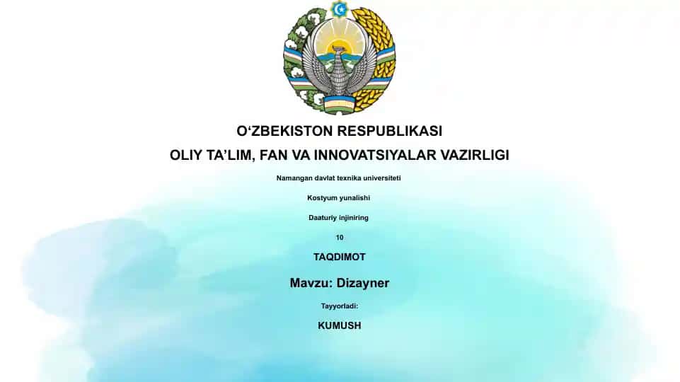 Dizayner