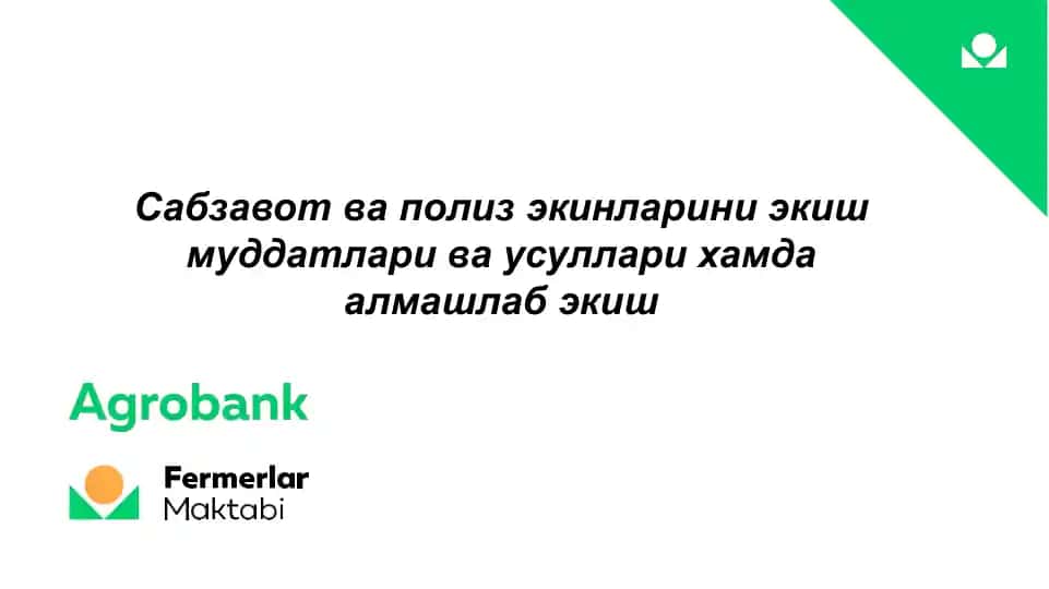 Сабзавот ва полиз экинларини экиш муддатлари ва усуллари