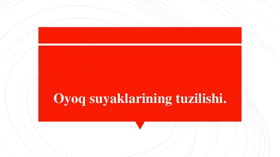 Oyoq suyaklarining tuzilishi