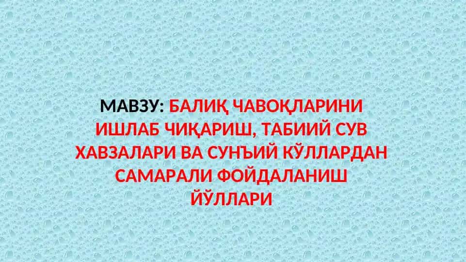 Балиқ чавоқларини ишлаб чиқариш, табиий сув ҳавзалари ва сунъий кўллардан самарали фойдаланиш йўллари