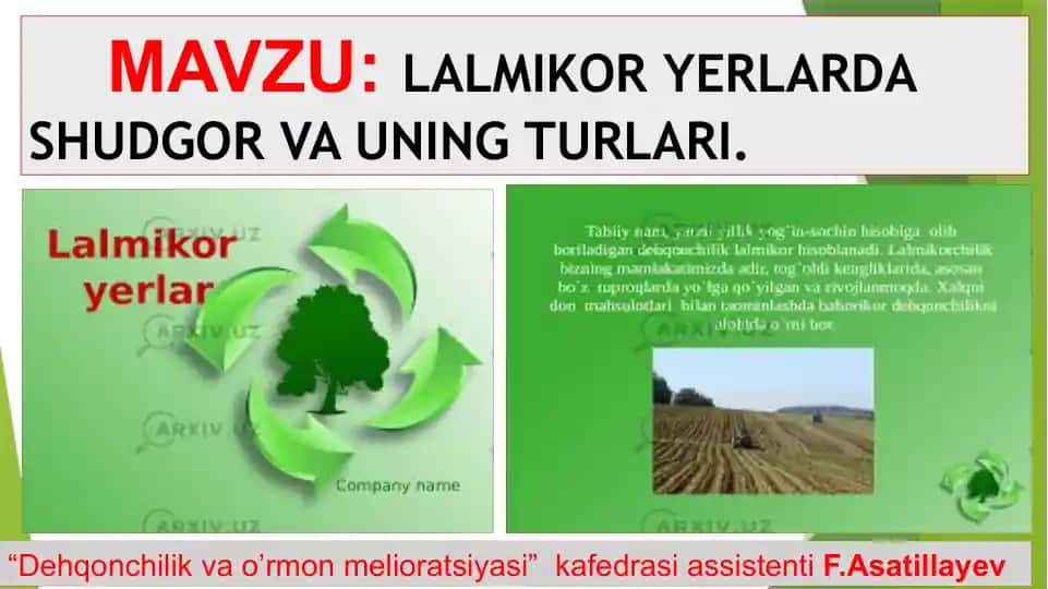 Lalmikorlar va ularning turkumi