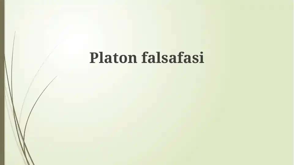 Platonfalsafasi