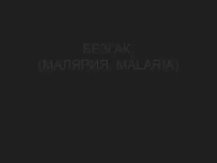 БЕЗГАК(МАЛЯРИЯ, MALARIA)