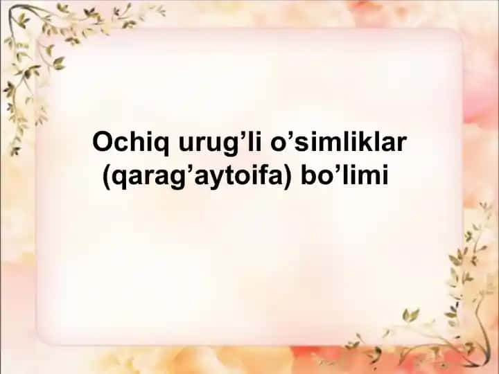 Ochiq urug’li o’simliklar (qarag’aytoifa) bo’limi