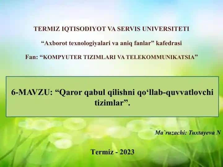 Qaror qabul qilishni qo‘llab-quvvatlovchi tizimlar