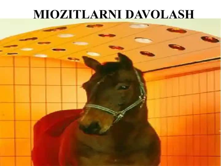 MIOZITLARNI DAVOLASH