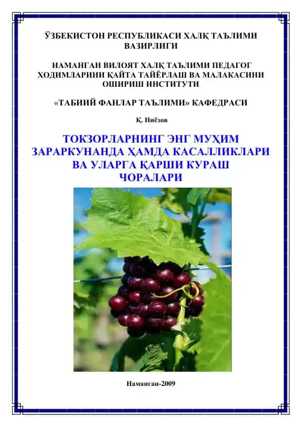 Tokzorlarning eng muhim zararkunandagi va kasalliklari va ularga qarshi kurash choralarini