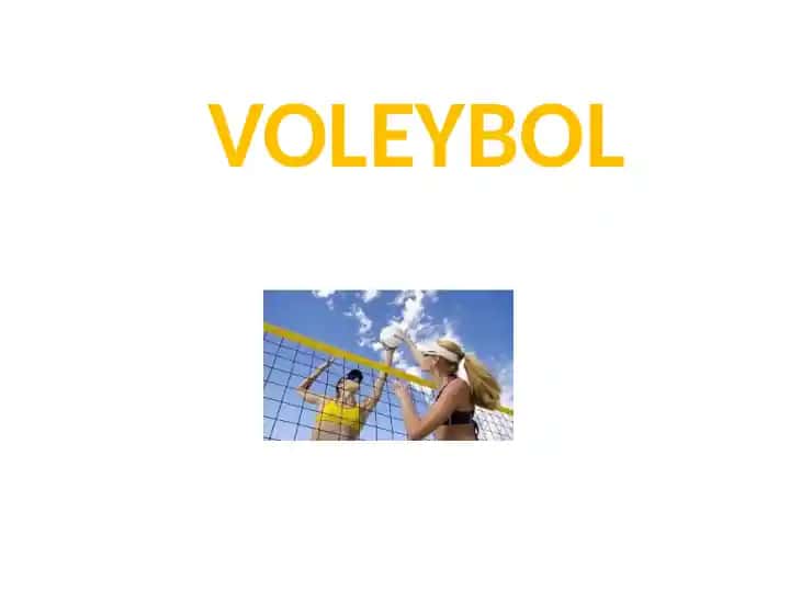 Voleybol