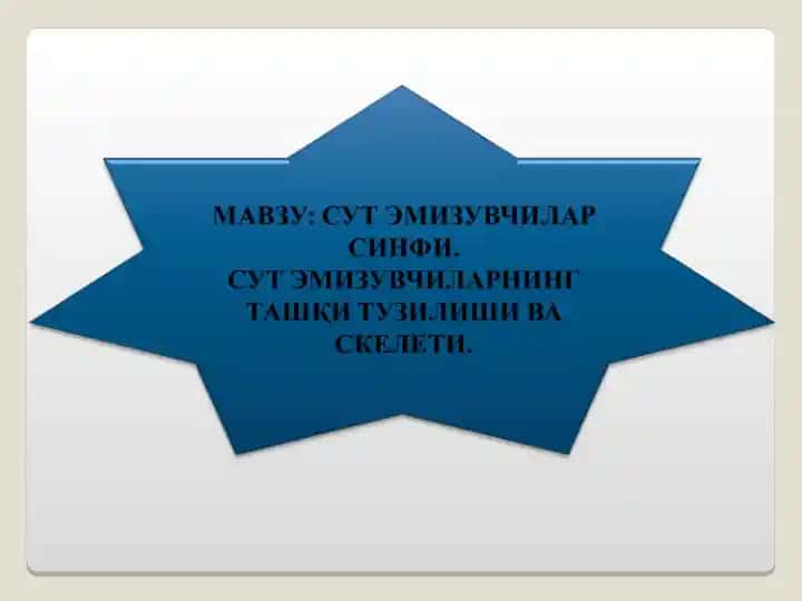 Сутэмизувчилар