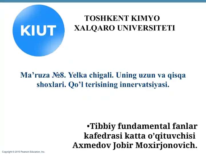Yelka chigali