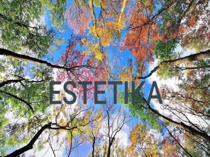 Estetika