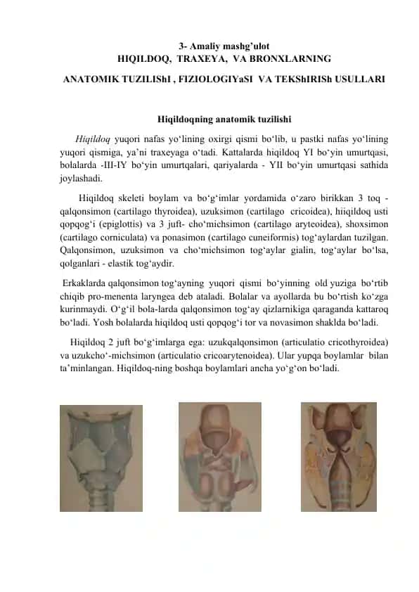 Hiqildoqning anatomik tuzilishi