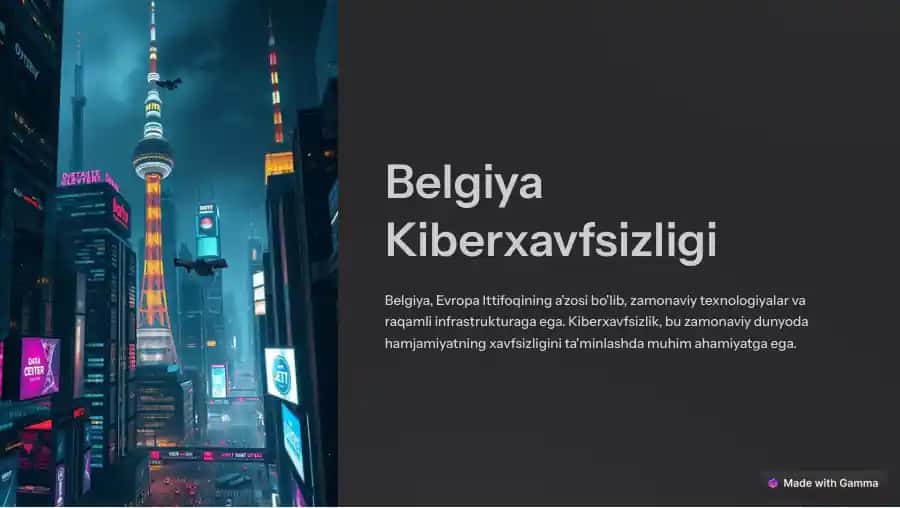 Belgiya Kiberxavfsizligi