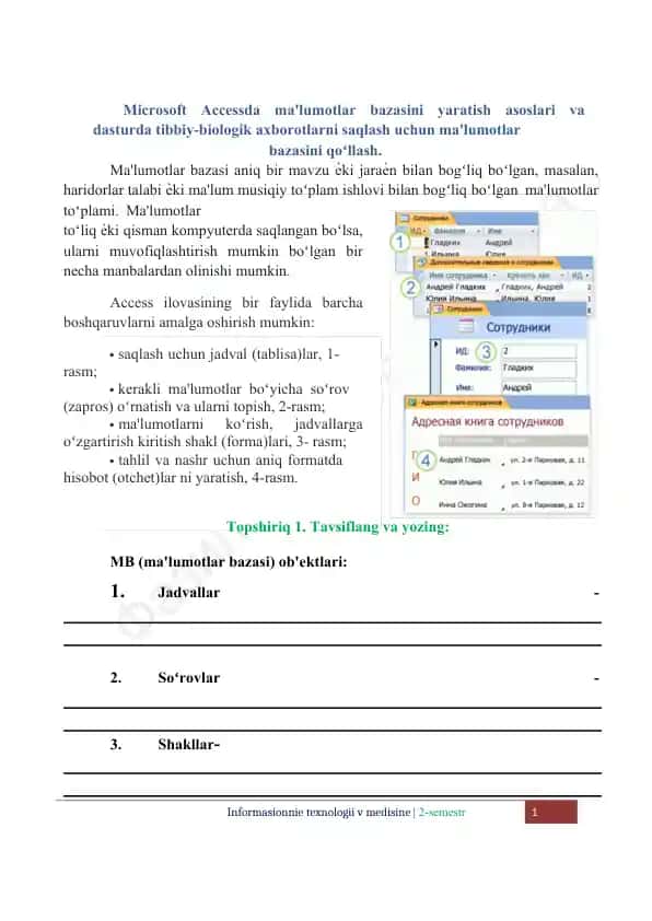 Microsoft Accessda ma'lumotlar bazasini yaratish asoslari va dasturda tibbiy-biologik axborotlarni saqlash uchun ma'lumotlar