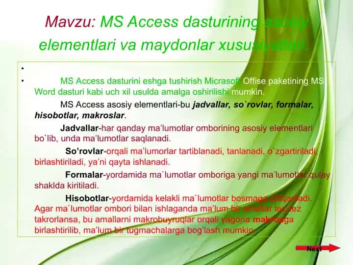MS Access dasturi